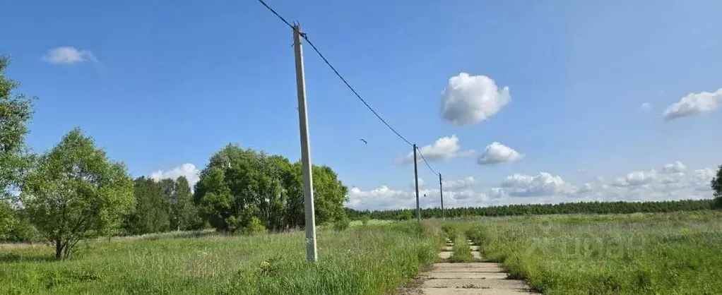 Участок в Московская область, Раменский муниципальный округ, Оттепель ... - Фото 1