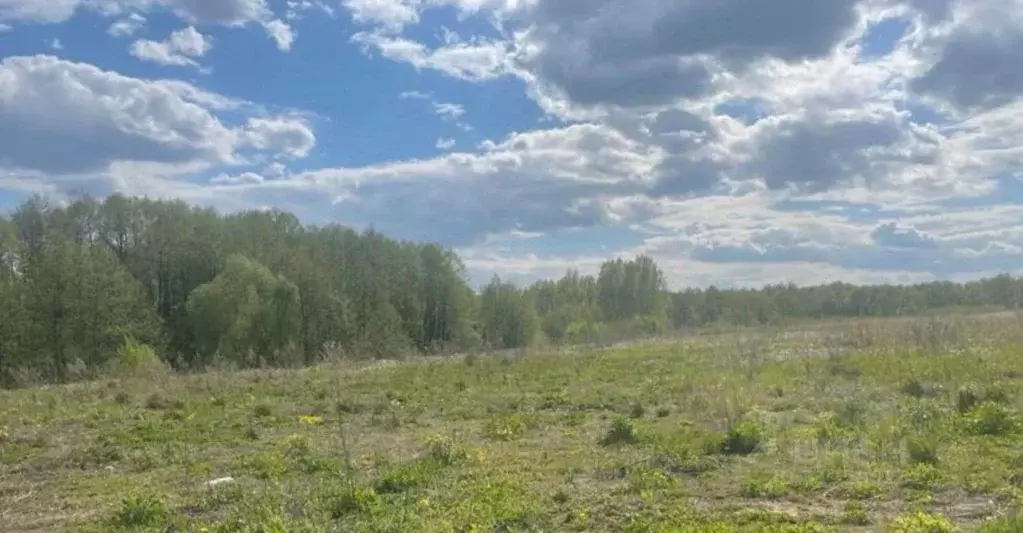 Участок в Московская область, Бронницы  (10.0 сот.) - Фото 0