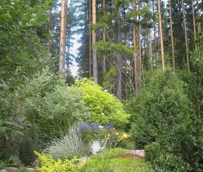Участок в Московская область, Одинцовский городской округ, с. Усово  ... - Фото 1