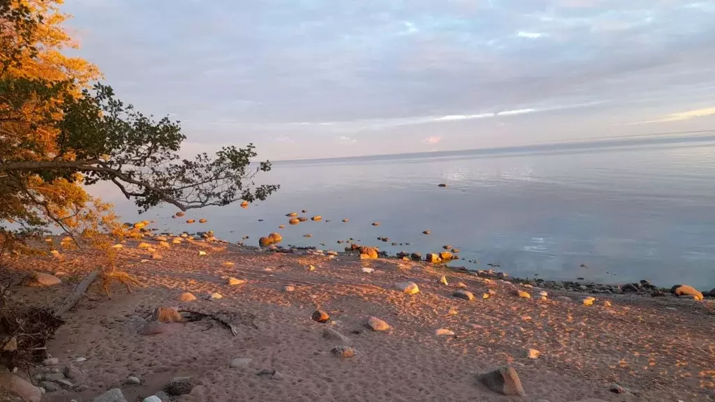 4-к кв. Санкт-Петербург, Санкт-Петербург, Зеленогорск Привокзальная ... - Фото 1