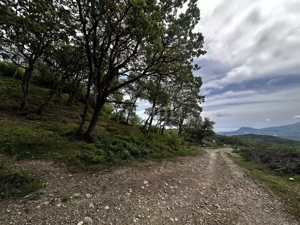 Участок в Крым, Алушта городской округ, с. Лучистое ул. Ай-Костанди ... - Фото 1