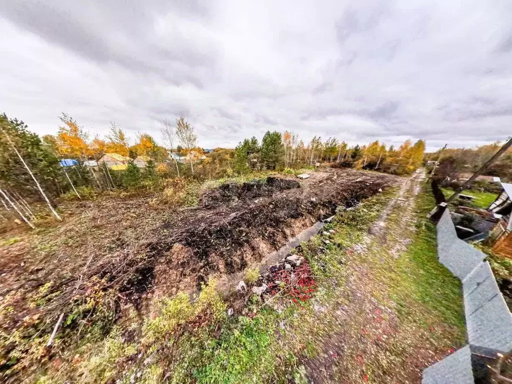 Участок в Тюменская область, Тюменский муниципальный округ, Нива СНТ ... - Фото 0
