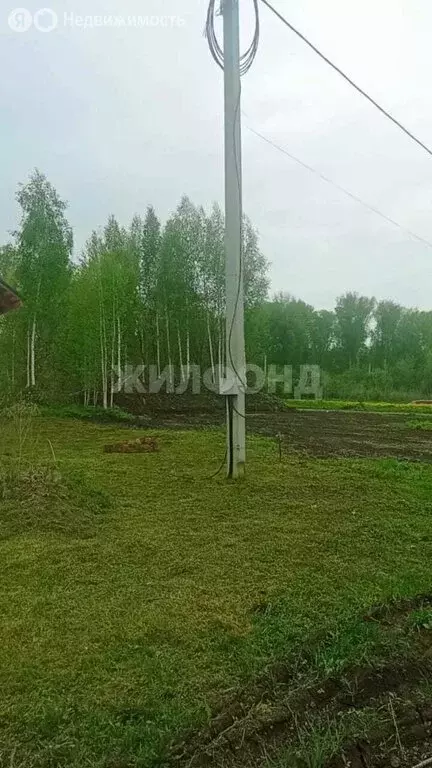 Участок в Новосибирск, улица Полякова (8.12 м) - Фото 1