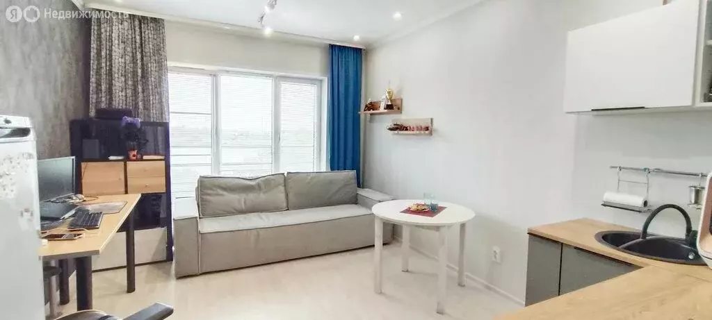 Квартира-студия: Великий Новгород, Колмовская набережная, 71А (23.5 м) - Фото 1