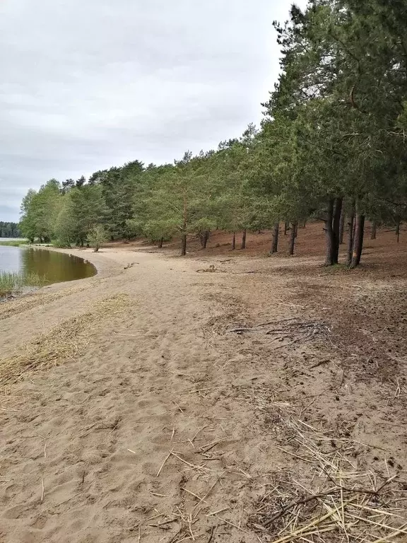 Участок в Ленинградская область, Кингисеппский район, пос. Усть-Луга, ... - Фото 1