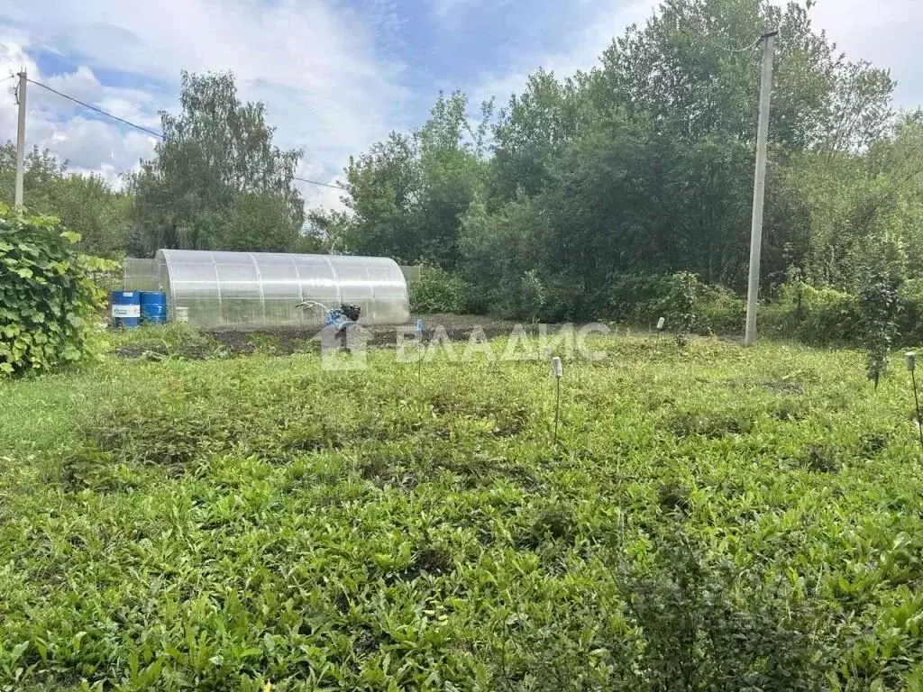 Участок в Нижегородская область, Богородский муниципальный округ, ... - Фото 0