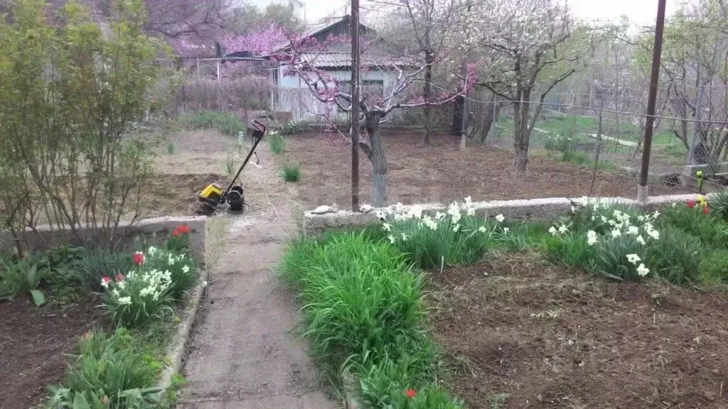 Дом в Севастополь Сосновая роща садоводческое товарищество, 126 (25 м) - Фото 1