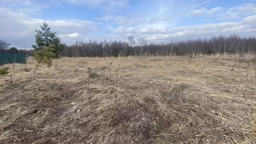 Участок в Московская область, Клин городской округ, д. Новая  (8.51 ... - Фото 1