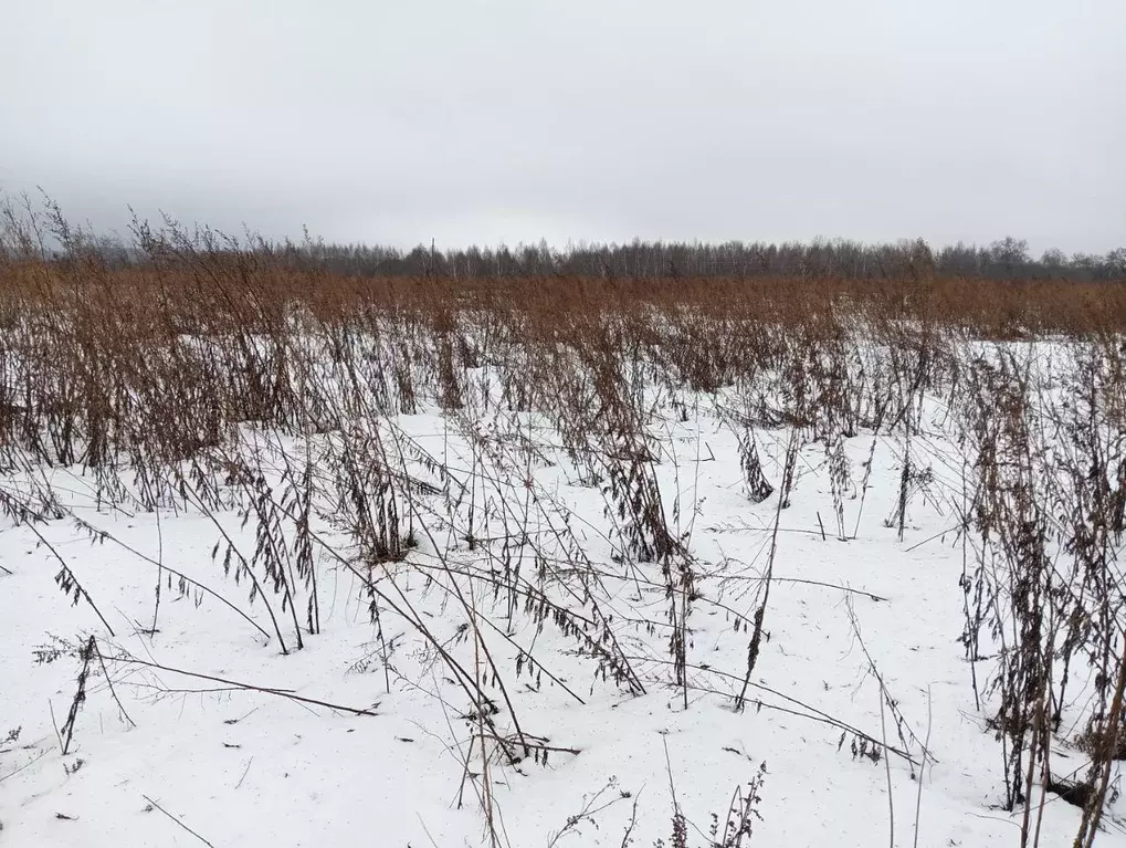 Участок в Московская область, Клин городской округ, д. Теренино  ... - Фото 0