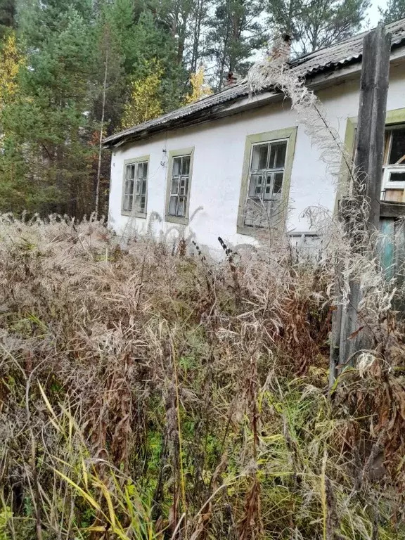 Помещение свободного назначения в Карелия, Лоухский район, пос. ... - Фото 1