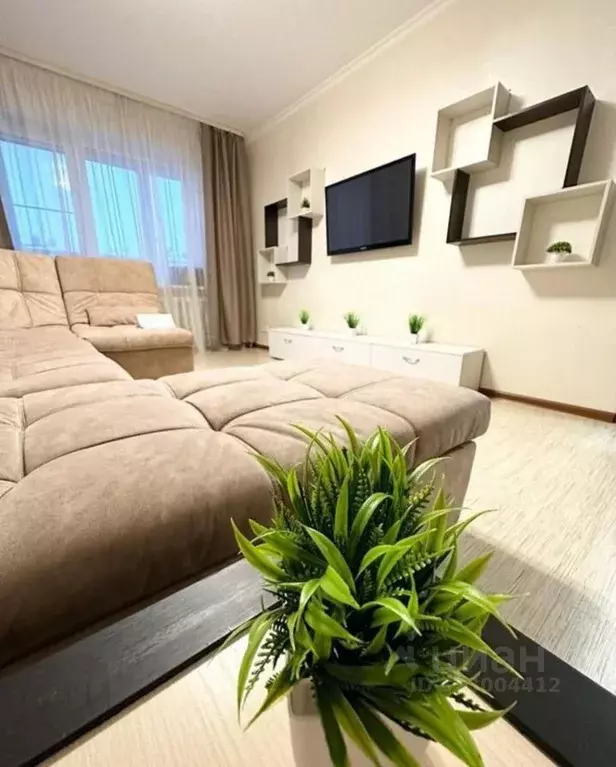 3-к кв. Курганская область, Шадринск ул. Розы Люксембург, 25 (72.0 м) - Фото 2