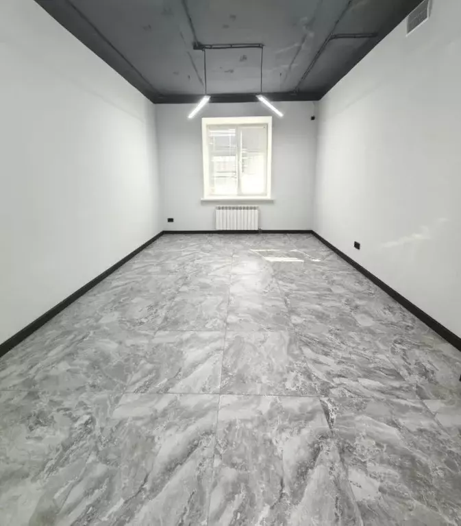 Помещение свободного назначения в Татарстан, Казань ул. Восстания, 80А ... - Фото 2