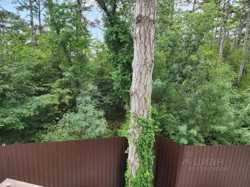 Участок в Крым, Ялта муниципальный округ, Восход пгт ул. Наташинская, ... - Фото 1