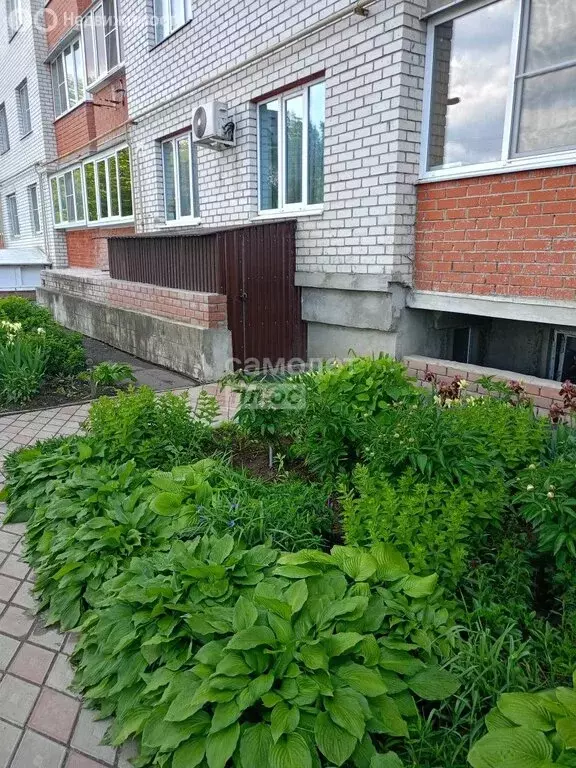 Помещение свободного назначения (84.2 м) - Фото 1