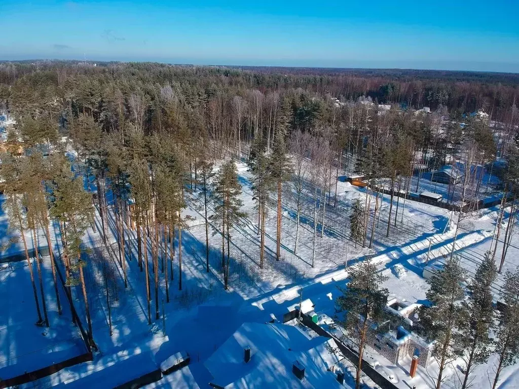 Участок в Ленинградская область, Всеволожский район, Токсовское ... - Фото 0