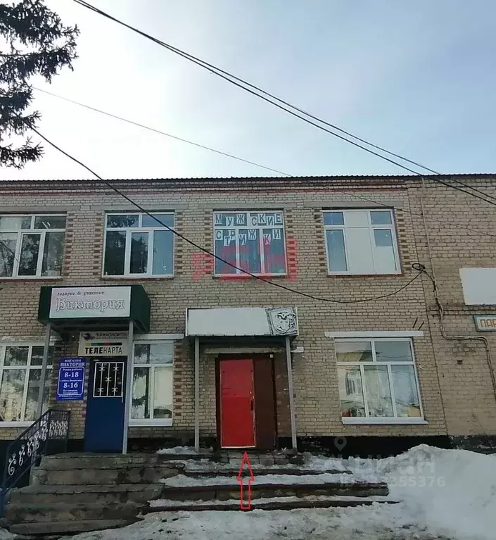 Помещение свободного назначения в Пензенская область, Шемышейка пгт ... - Фото 1