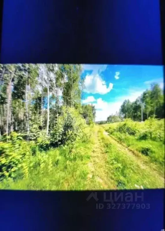 Участок в Калужская область, Калуга городской округ, д. Матюнино ул. ... - Фото 2