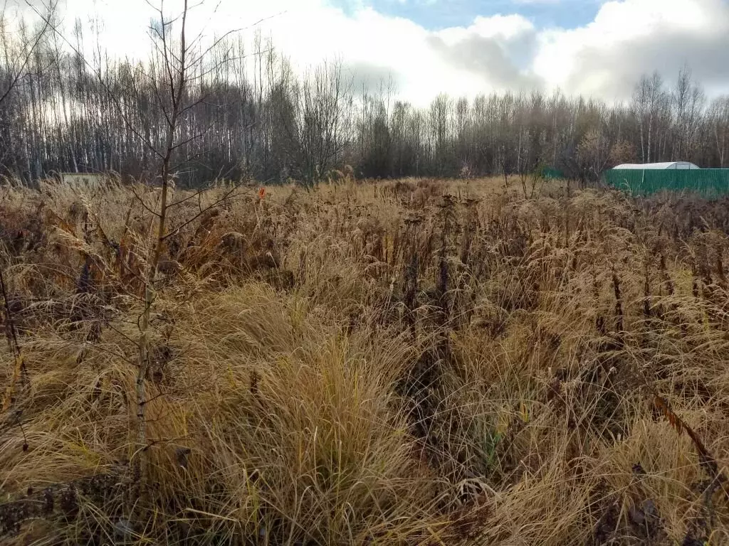 Участок в Нижегородская область, Городецкий муниципальный округ, ... - Фото 2