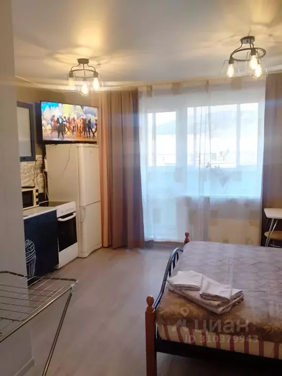 Студия Челябинская область, Миасс ул. Романенко, 4 (30.0 м) - Фото 1