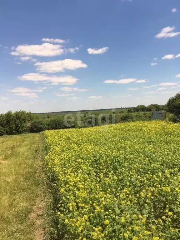 Участок в Курская область, Курский район, Лебяженский сельсовет, с. ... - Фото 1