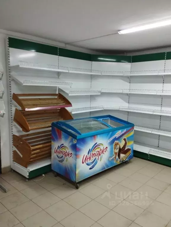 Помещение свободного назначения в Кировская область, Киров Вятская ... - Фото 2