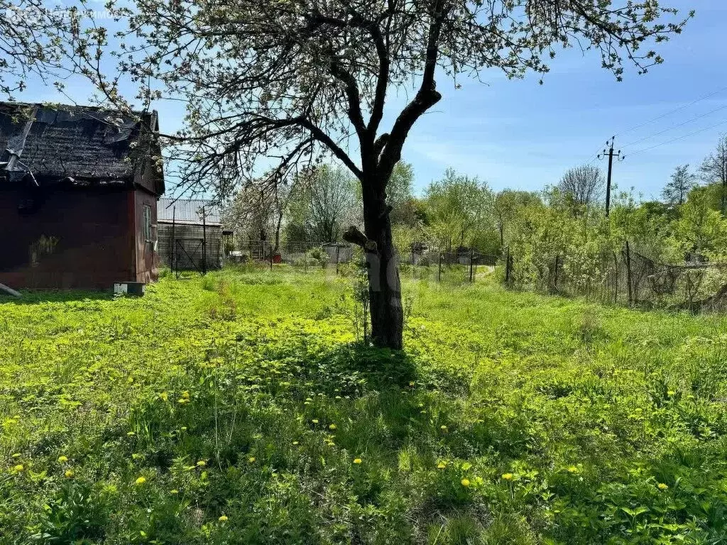Участок в Калининград, СНТ Дельфин (5.6 м) - Фото 0