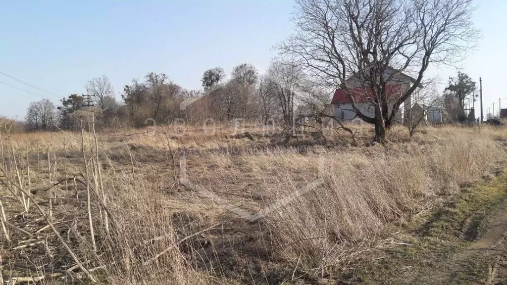 Участок в Калининградская область, Гурьевский муниципальный округ, ... - Фото 2