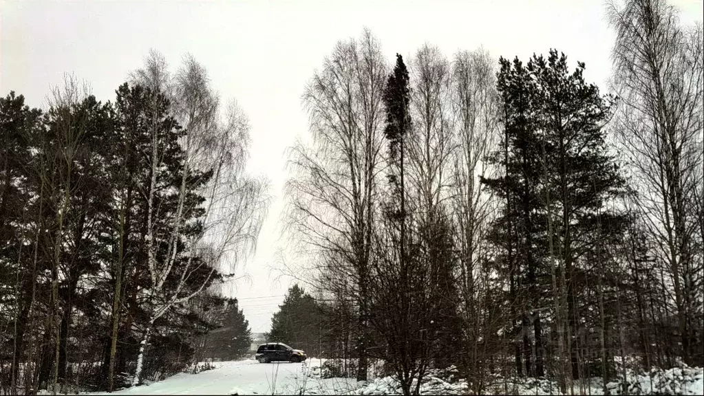Участок в Пермский край, Пермский район, пос. Юго-Камский  (1200.0 ... - Фото 1