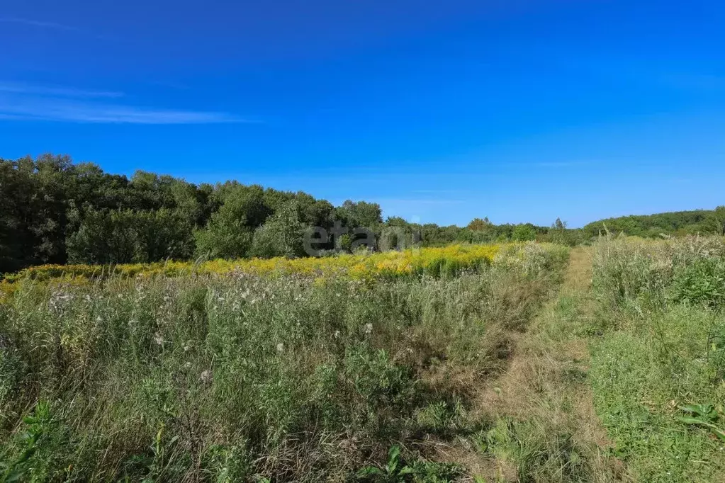 Участок в Хабаровский край, Хабаровск Каскад садовое товарищество,  ... - Фото 0