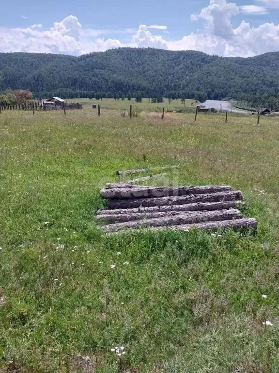 Участок в Алтай, Усть-Коксинский район, с. Власьево  (40.0 сот.) - Фото 0