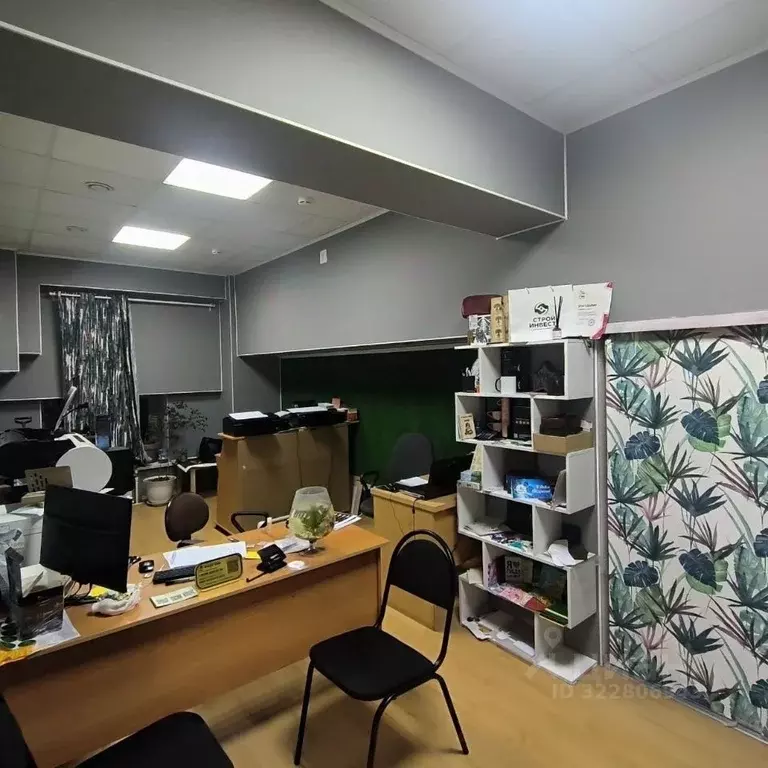 Офис в Татарстан, Казань ул. Карбышева, 47/1 (262 м) - Фото 1