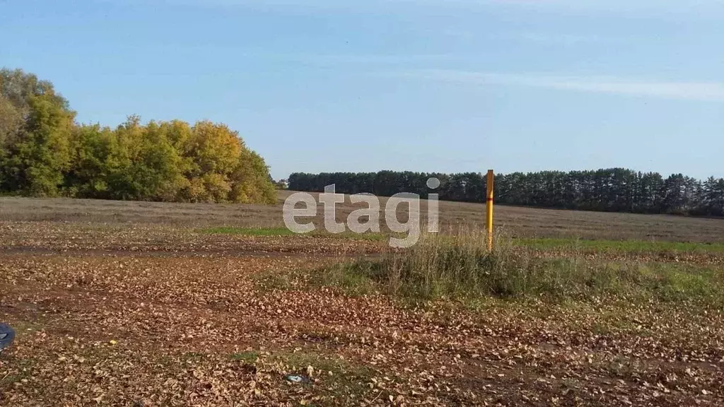Участок в Башкортостан, Уфимский район, Булгаковский сельсовет, д. ... - Фото 1