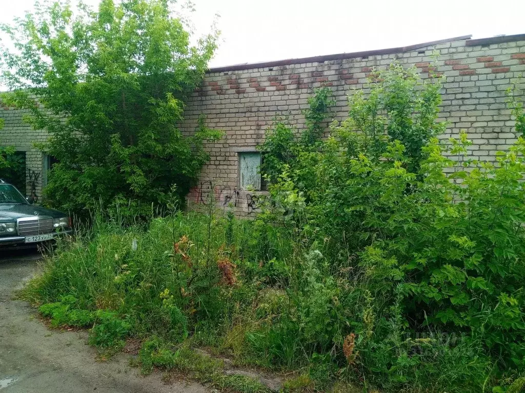 Торговая площадь в Белгородская область, Валуйки ул. Калинина, 39А ... - Фото 2