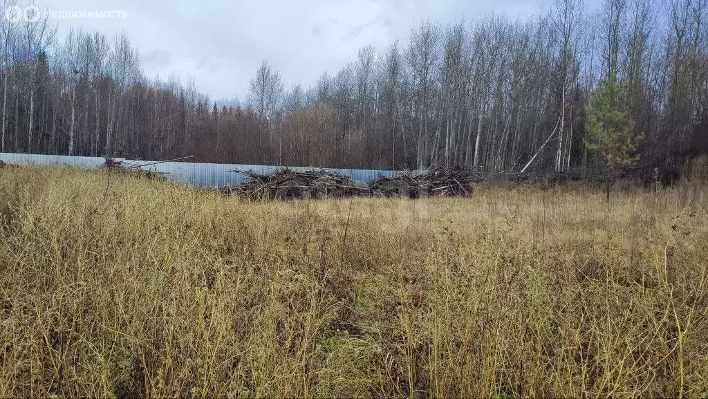 Участок в Пермский край, Краснокамский муниципальный округ, посёлок ... - Фото 1
