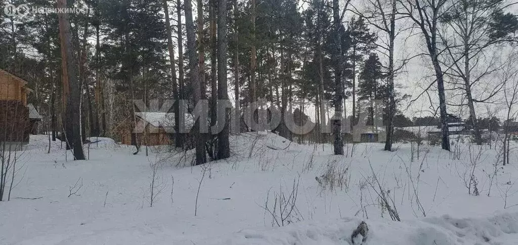 Участок в посёлок Сосновка, Кленовая улица (25.68 м) - Фото 2