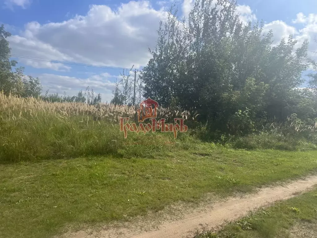 Участок в Московская область, Дмитровский муниципальный округ, с. ... - Фото 1