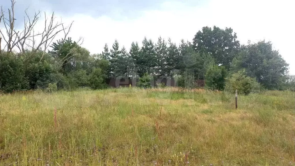 Участок 57 сот. (ИЖС) - Фото 0