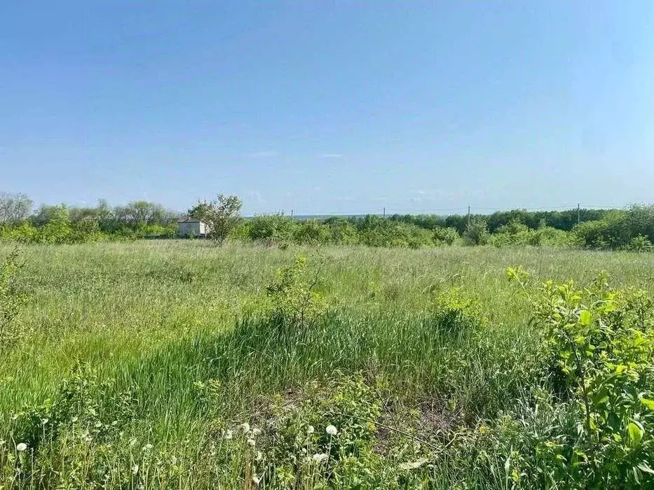 Участок в Белгородская область, Белгородский район, Новосадовское ... - Фото 2