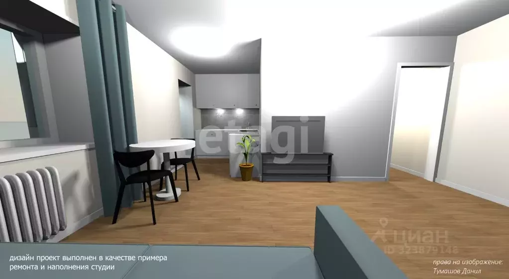 Студия Хабаровский край, Хабаровск ул. Фурманова, 4 (27.7 м) - Фото 1