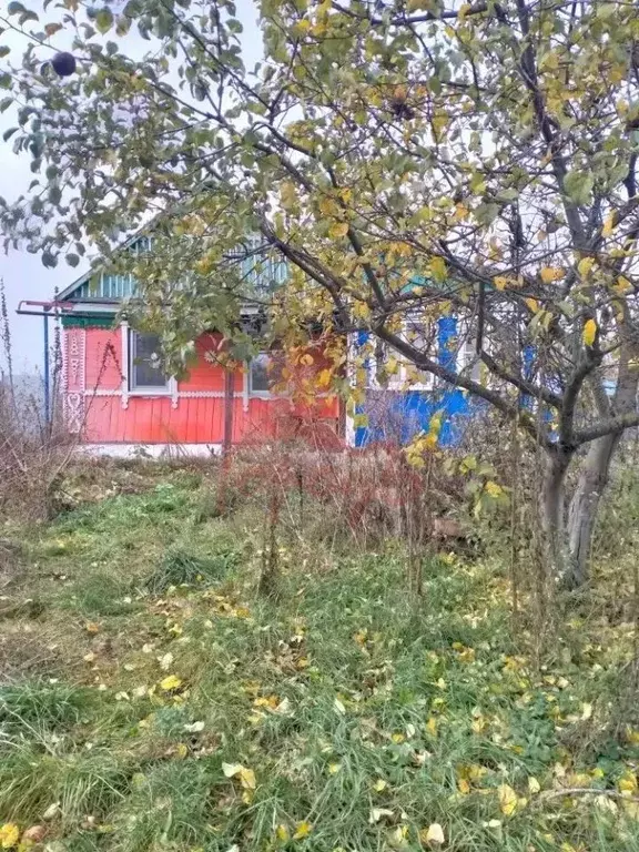 Дом в Орловская область, Глазуновский район, Краснослободское с/пос, ... - Фото 1