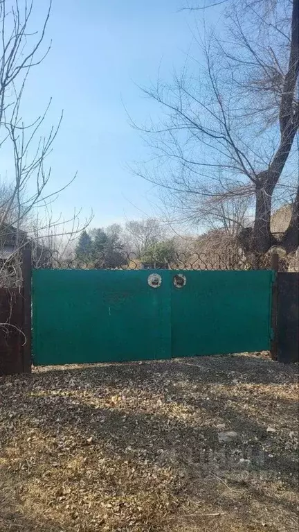 Дом в Приморский край, Октябрьский муниципальный округ, с. Покровка ... - Фото 1