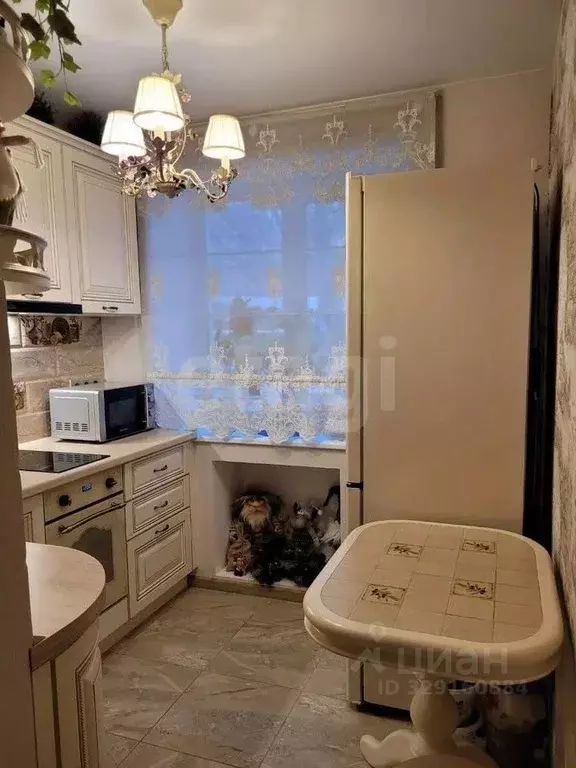 2-к кв. Кемеровская область, Мыски ул. Вахрушева, 24 (43.2 м) - Фото 2