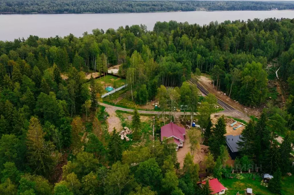 Участок в Ленинградская область, Выборгский район, Приморское ... - Фото 0