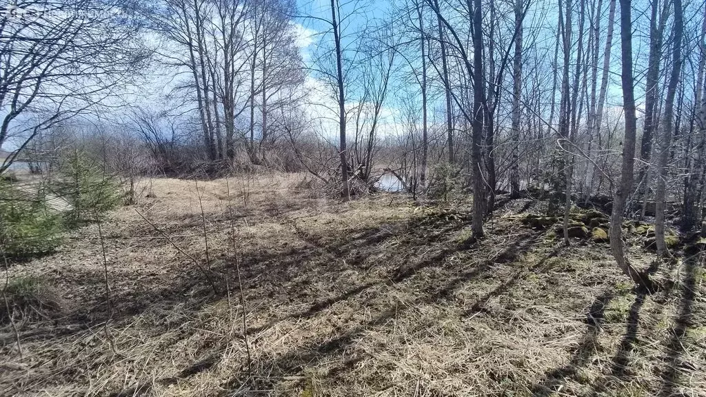 Участок в село Брод, Заречная улица (14.34 м) - Фото 1