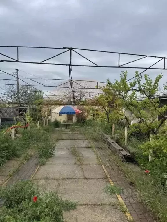 Участок в Крым, Сакский район, Новофедоровка пгт ул. Зеленая (6.0 ... - Фото 1