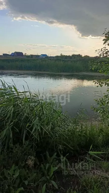 Участок в Тюменская область, Ишимский район, с. Ершово Заречная ул. ... - Фото 1