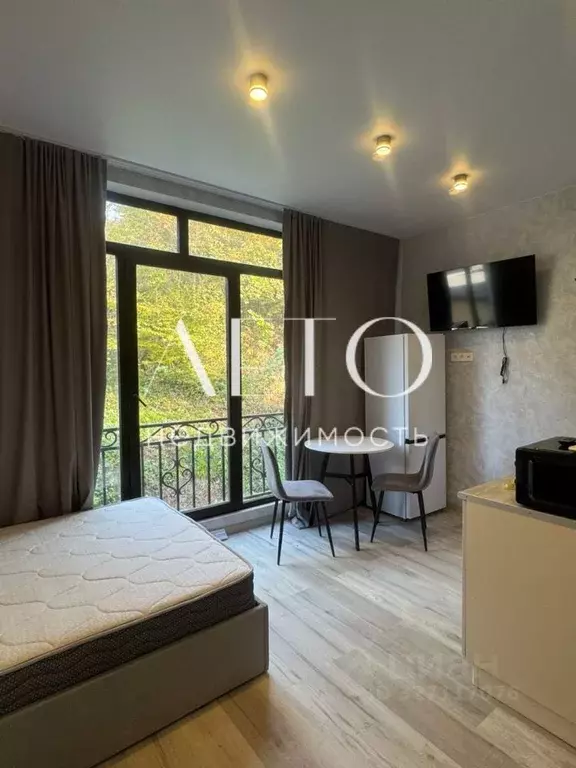 Студия Краснодарский край, Сочи ул. Мира, 177А/13 (23.0 м) - Фото 1