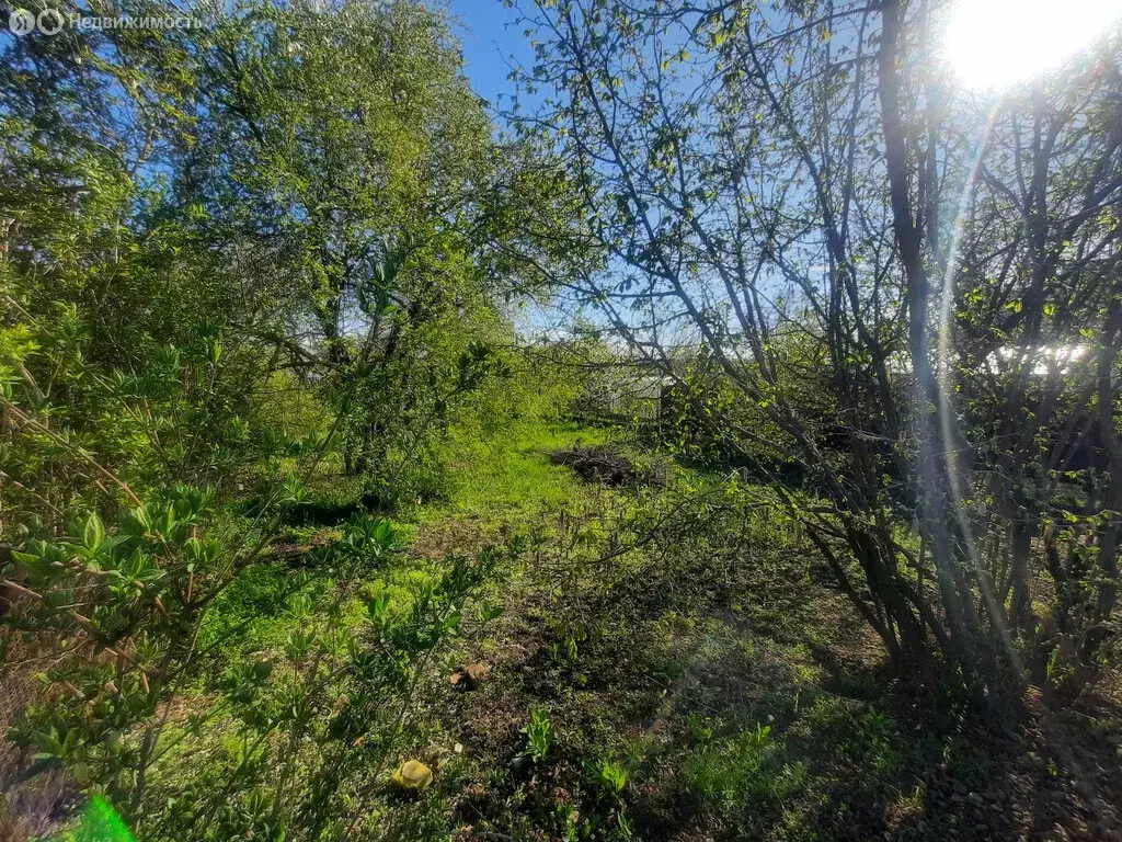 Участок в Батайск, дачный посёлок Дружба, Калиновая улица (4.3 м) - Фото 2