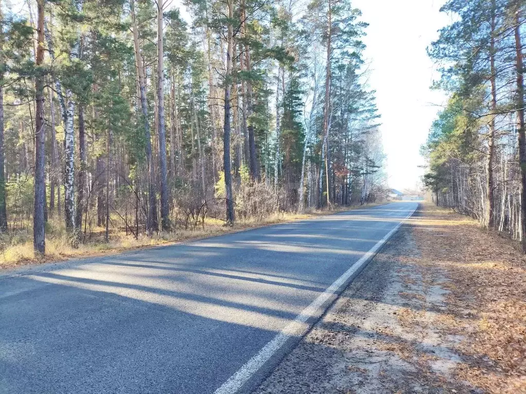 Участок в Курганская область, Кетовский муниципальный округ, с. ... - Фото 1