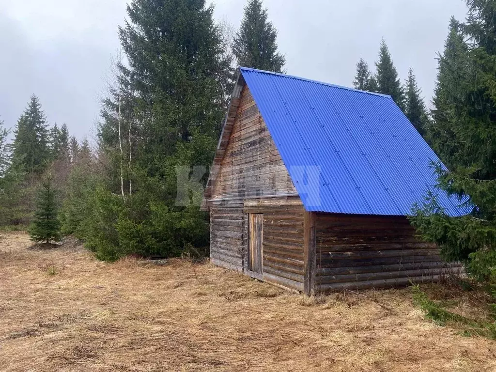 Участок в Вологодская область, Сокольский муниципальный округ, д. ... - Фото 1
